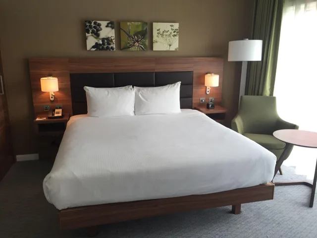 جناح ديلوكس بغرفة نوم واحدة، Hilton Garden Inn Sunderland 1/2