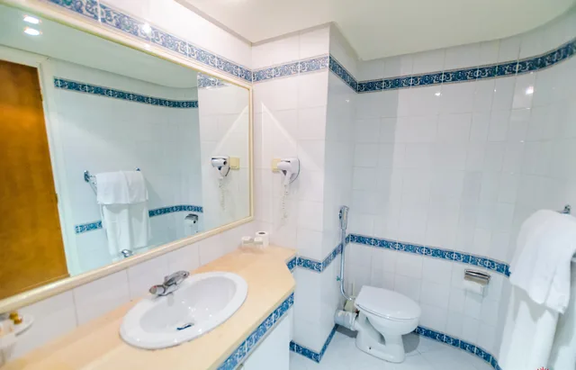 غرفة اقتصادية مفردة، Houria Palace 2/2