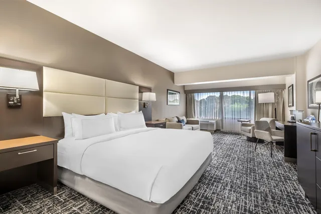 غرفة ديلوكس بسرير كينج مع أريكة، DoubleTree by Hilton Williamsburg 3/9