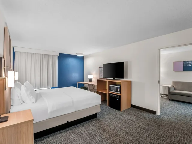 جناح بسرير كينج، Comfort Inn & Suites University South 1/3