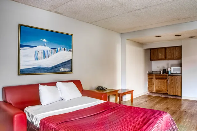 Room, King Bed, Smoking, Hotel Burlington South 1/2