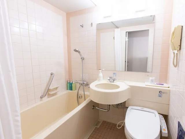 غرفة مفردة للمدخنين، Toyama Chitetsu Hotel 3/4