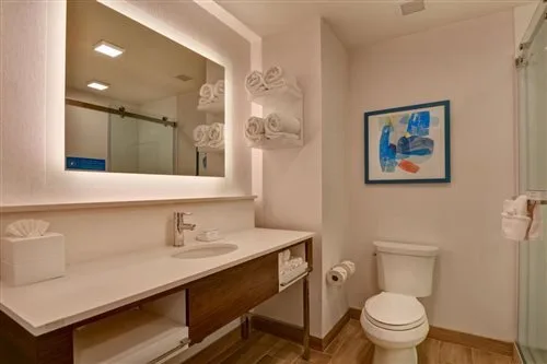 غرفة بسرير كينج بحوض استحمام لذوي الإعاقة، Hampton Inn Chula Vista Eastlake 1/1