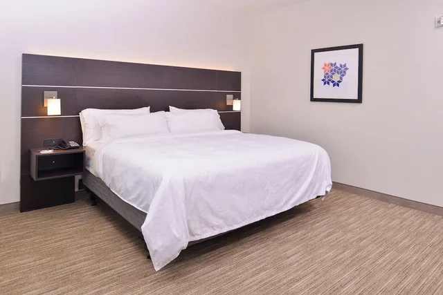 غرفة قياسية بسرير كينج لذوي الإعاقة، Holiday Inn Express and Suites - Mall of America - MSP Airport 6/10