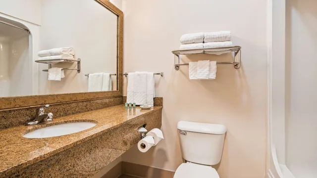 غرفة قياسية بسريرين كوين يُسمح فيها بالحيوانات الأليفة، Best Western Brookfield 5/5