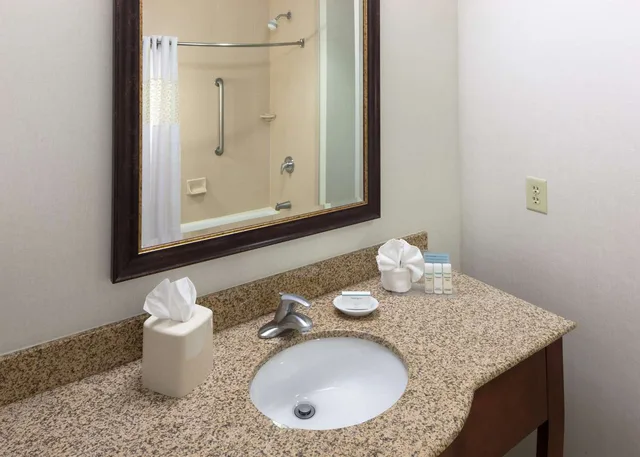 غرفة بسرير كينج بحوض استحمام لذوي الإعاقة، Hampton Inn & Suites Colorado Springs/I-25 South 1/1