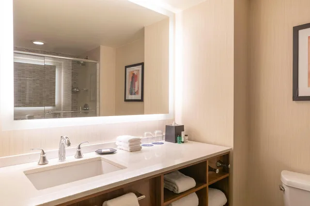 غرفة بسرير كينج، Sheraton Grand Chicago Riverwalk 2/2
