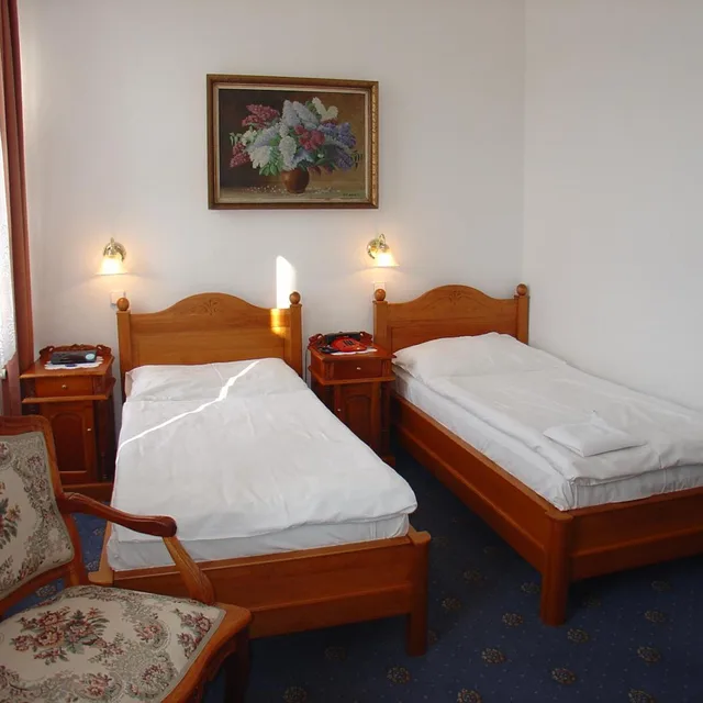 غرفة بسرير مزدوج أو سريرين منفصلين، Hotel Opera Prague 3/10
