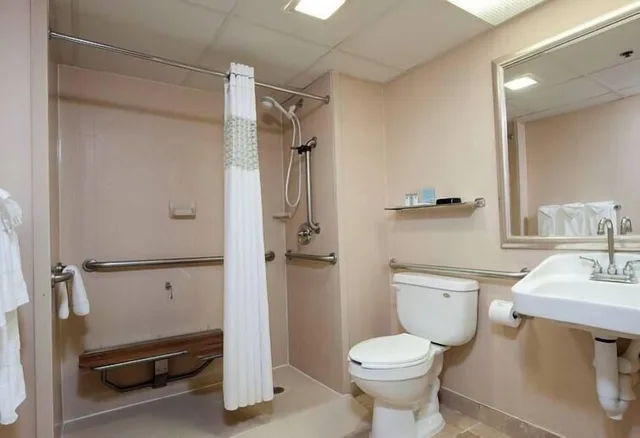 غرفة قياسية بسرير كوين لذوي الإعاقة، Larkspur Landing Hotel Ann Arbor 3/3