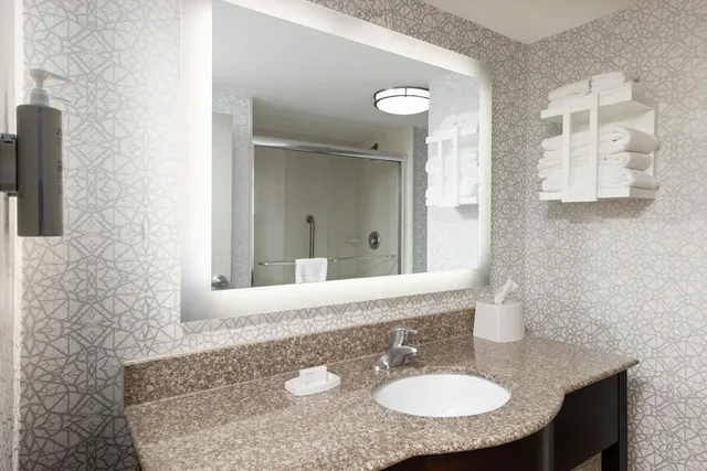 غرفة بسرير كينج بإطلالة على البحيرة، Hampton Inn And Suites Savannah-Airport 3/3