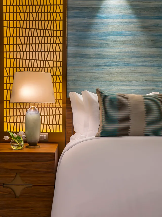 غرفة ديلوكس مفردة، Ritz Carlton Santiago 1/1