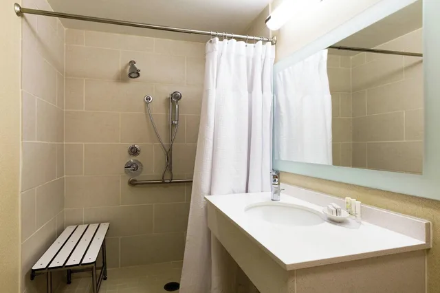 Suite, King Bed, Springhill Suites by Marriott Austin South 4/9