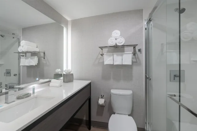 استوديو بسرير كينج مع أريكة، Towneplace Suites by Marriott Framingham 3/4