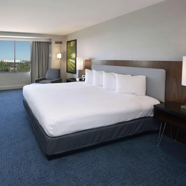 Tower, King Bed, Doubletree By Hilton Newark Fremont 1/2