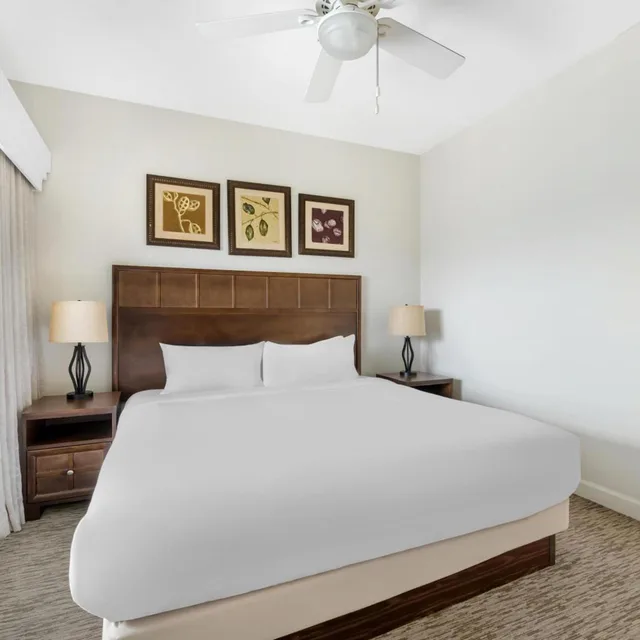 1 Bedroom, Plus, Suite, Sofa، Hilton Vacation Club St. Augustine 4/5