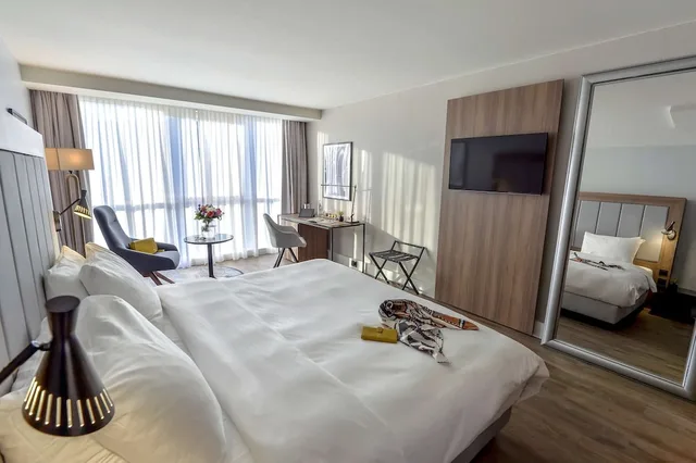 غرفة سوبيريور بسرير كينج، RADISSON BLU NICE 2/9