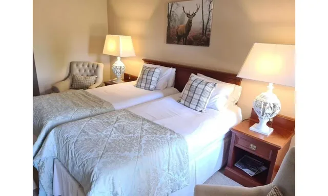 غرفة أساسية بسريرين منفصلين وسرير كينج، Mansfield House Hotel 3/3