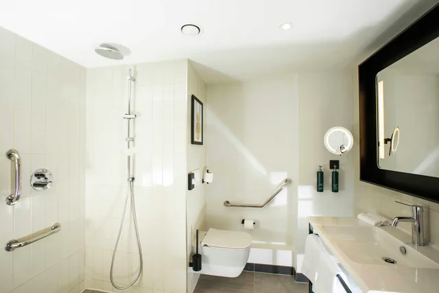 غرفة بسرير كينج لذوي الإعاقة، Hilton Lille 18/20