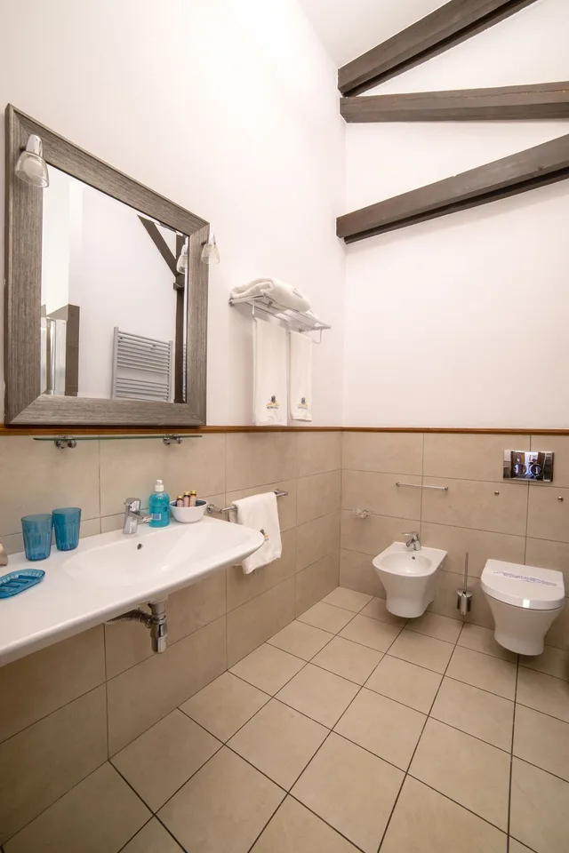 غرفة كلاسيكية بسرير كوين، Euroresidence 9/9