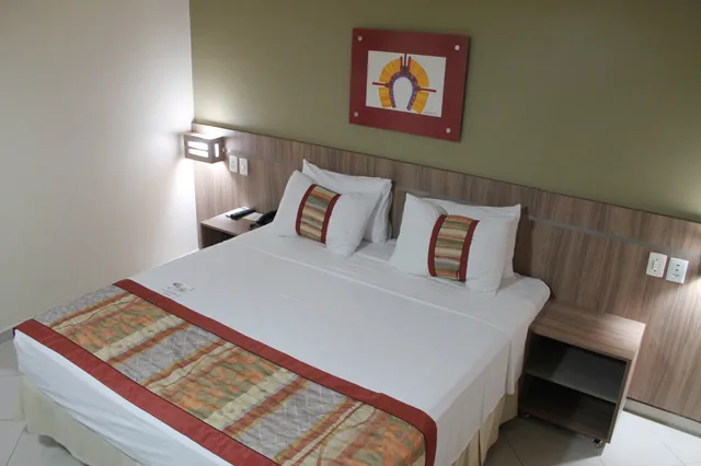 غرفة ديلوكس بسرير مزدوج، PAIAGUAS PALACE HOTEL 1/2