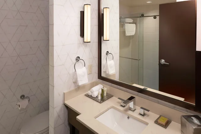 غرفة بسرير كينج مع أريكة، Hilton Asheville Biltmore Park 3/3