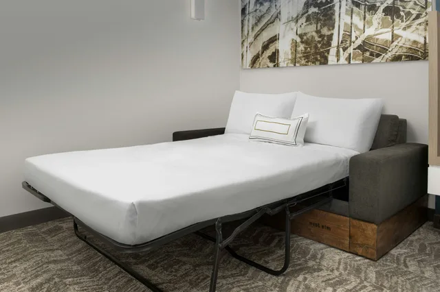 جناح بسريرين كوين، SpringHill Suites by Marriott Atlanta Perimeter Center 2/4