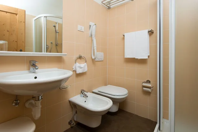 Studio, Double Bed, Sofa, Balcony, Residence Lastei 6/10