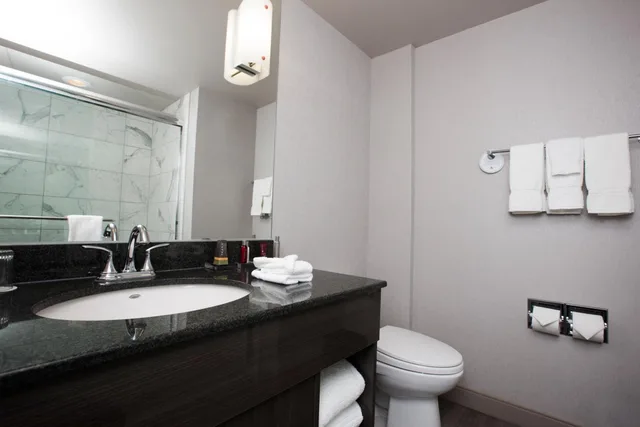Bi Level, Loft, Suite, King Bed, Falls View، Niagara Falls Marriott on The Falls 3/3