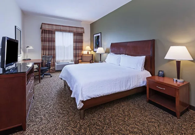 غرفة بسرير كينج، Hilton Garden Inn Corpus Christi 1/2