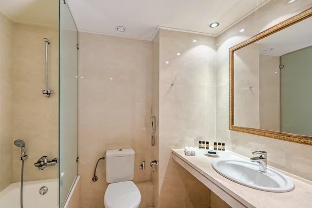 غرفة مفردة سوبيريور، Divani Meteora Hotel 4/4