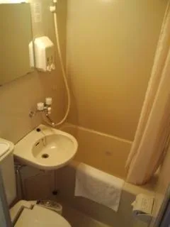غرفة ديلوكس مفردة بسرير مزدوج للمدخنين، Hotel Togane Hills 1/1
