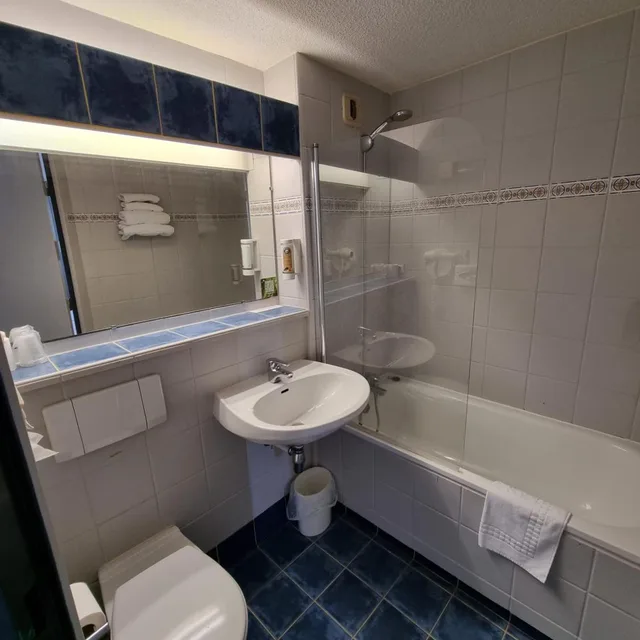 غرفة قياسية بسريرين منفصلين، Hotel Le Relais Pau Lons 4/6