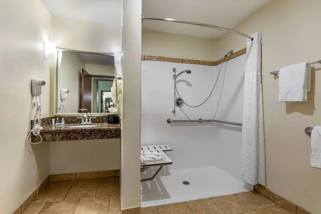جناح بسرير كينج مع أريكة لذوي الإعاقة، Comfort Suites West Dallas Cockrell Hill 3/3