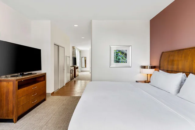 جناح بسرير كينج بغرفة نوم واحدة لذوي الإعاقة، Hilton Garden Inn New Orleans French Quarter/CBD 2/4