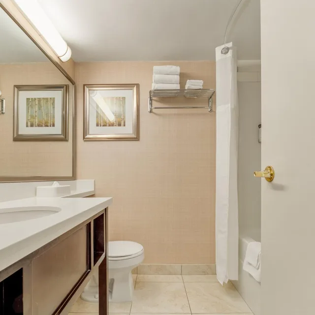 غرفة قياسية بسرير مزدوج، Holiday Inn Conference Ctr Edmonton South 2/2