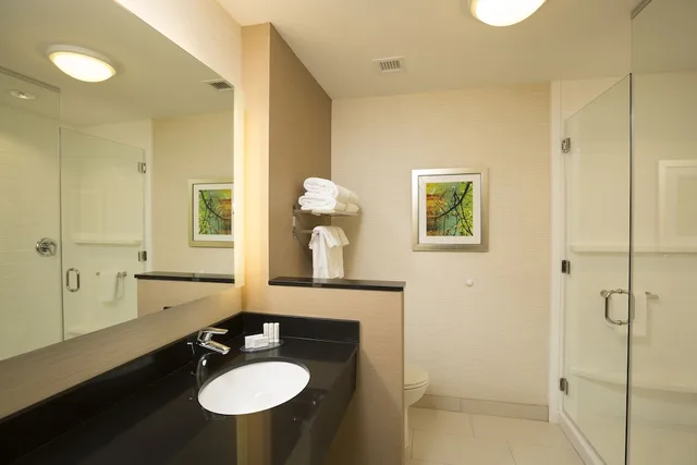 جناح تنفيذي بسرير كينج مع أريكة، Fairfield Inn Suites Farmington 3/3