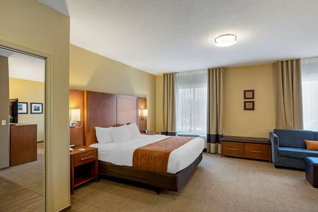 جناح بسرير كينج لذوي الإعاقة، Comfort Inn & Suites Sayre, PA 3/6