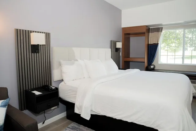 غرفة جونيور بسرير كينج، Microtel Inn & Suites By Wyndham Windham 1/2