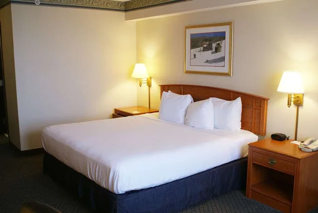 Suite, King Bed, Accessible, Country Inn & Suites By Radisson Lansing MI 2/2