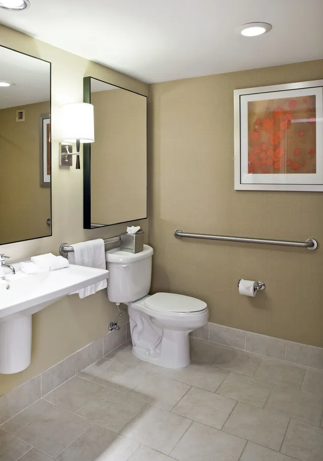 جناح ديلوكس مع أريكة لذوي الإعاقة، HILTON OMAHA 3/3