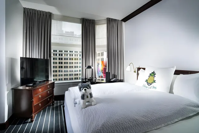 Executive, Suite, King Bed, Sofa, Accessible, Staypineapple An Iconic Hotel The Loop Chicago 1/1