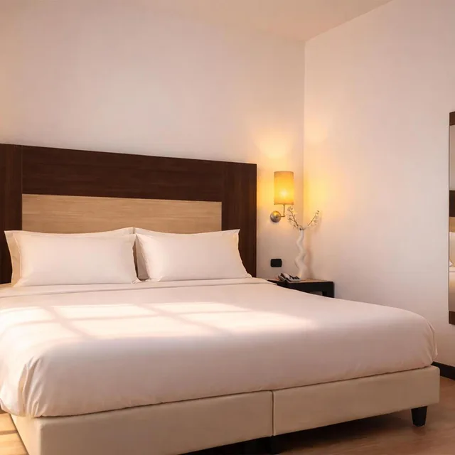 غرفة كومفورت بسرير كينج، Best Western Hotel Palace Lucera 1/2