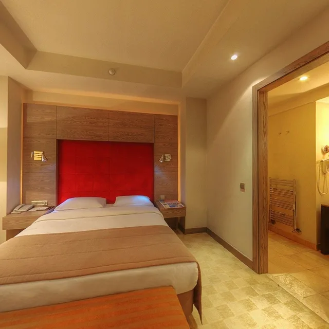 غرفة قياسية بسرير مزدوج، My City Otel Agaoglu 4/9
