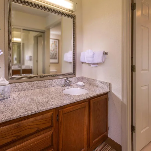 جناح استوديو بسرير كوين لذوي الإعاقة، Sonesta Es Suites Charlottesville University 2/4
