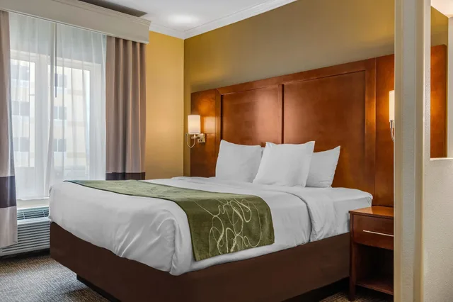 جناح بسرير كينج مع أريكة لذوي الإعاقة، Comfort Suites Corpus Christi Central 6/10