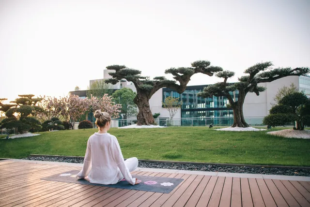 Healing, Executive, King Bed، The Anandi Hotel and Spa Shanghai 2/2
