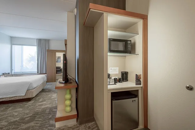 استوديو بسرير كينج مع أريكة، SpringHill Suites Tampa North/I-75 Tampa Palms 4/4