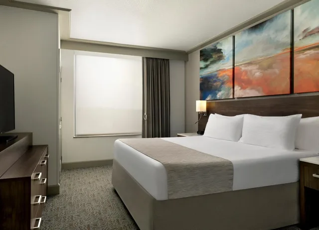 جناح بسرير كينج، Buena Vista Suites 2/5