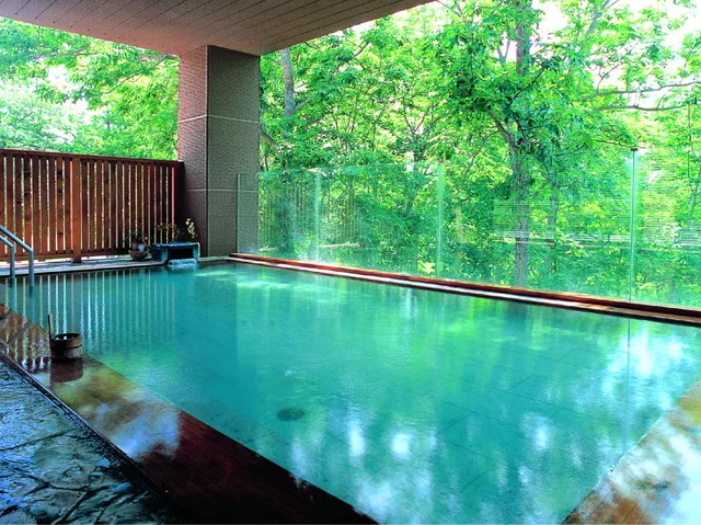 غرفة يابانية قياسية للمدخنين، Niseko Kombuonsen Hotel Kanronomori 2/2