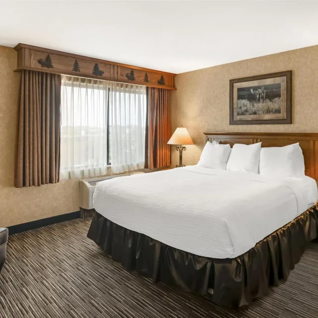 غرفة ديلوكس بسرير كينج، Best Western Plus Kelly Inn and Suites 2/6